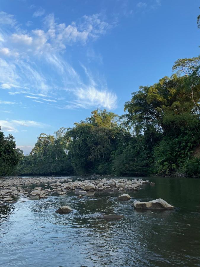 Caoni Riverside Lodge Puerto Quito Bagian luar foto