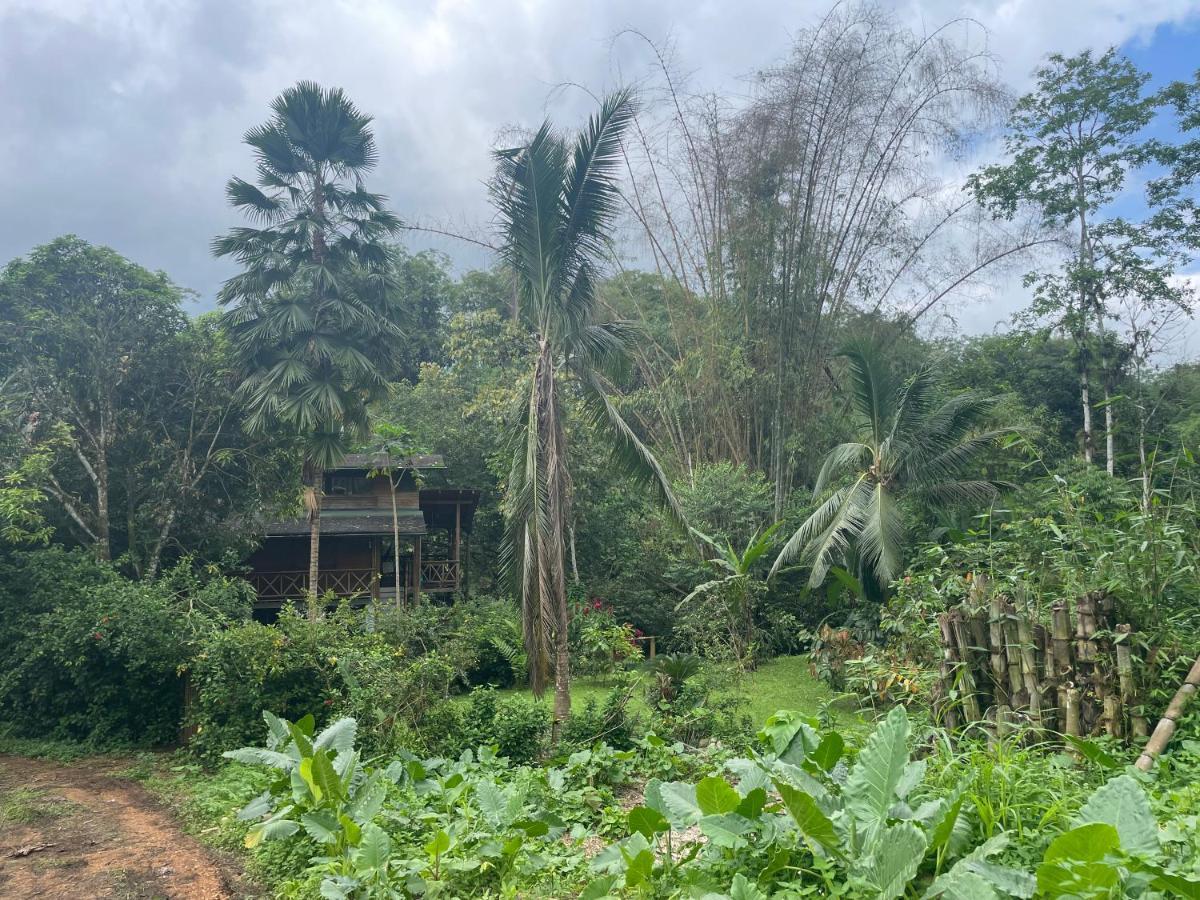 Caoni Riverside Lodge Puerto Quito Bagian luar foto