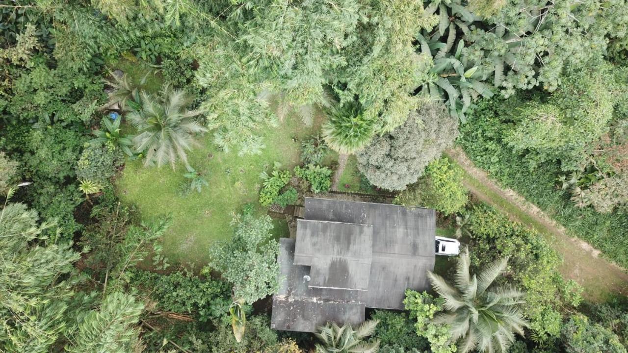 Caoni Riverside Lodge Puerto Quito Bagian luar foto
