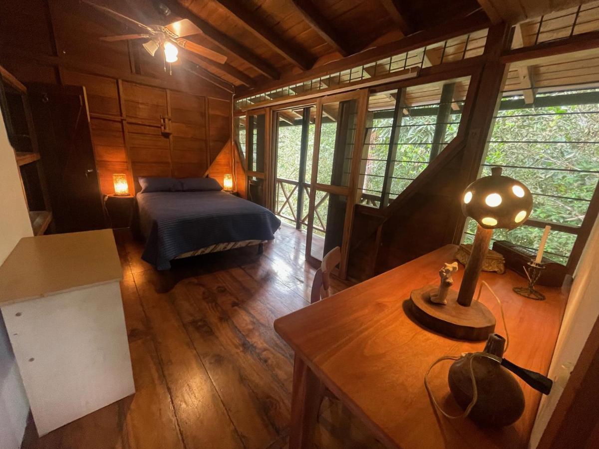 Caoni Riverside Lodge Puerto Quito Bagian luar foto