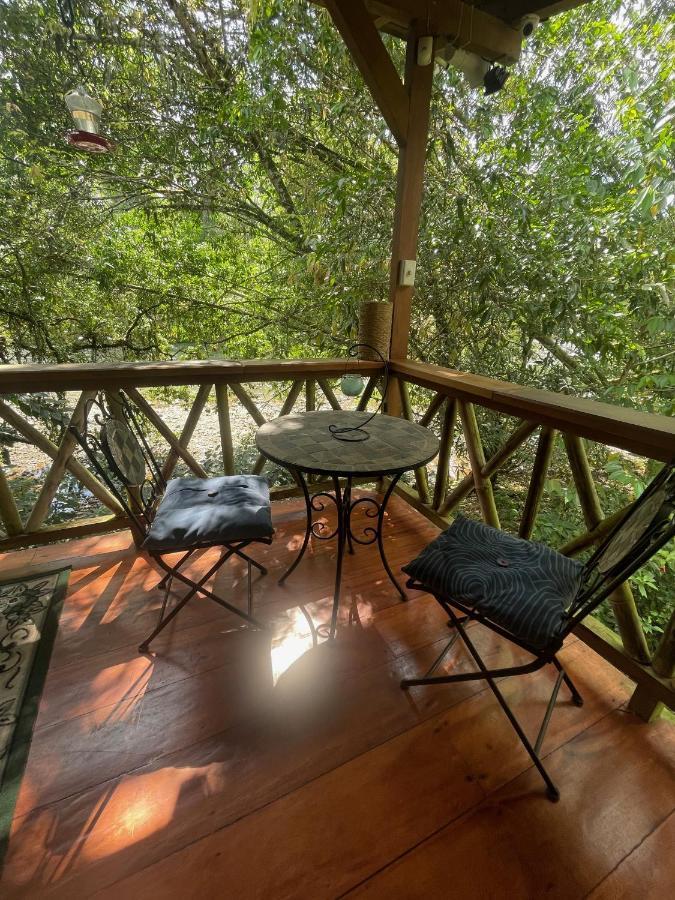 Caoni Riverside Lodge Puerto Quito Bagian luar foto